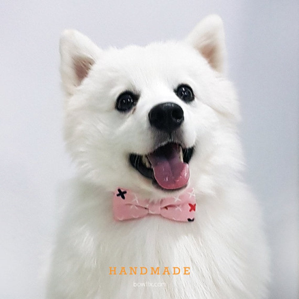 Bowtix Handmade Dog Collar With Removable Bowtie - Cross Cross