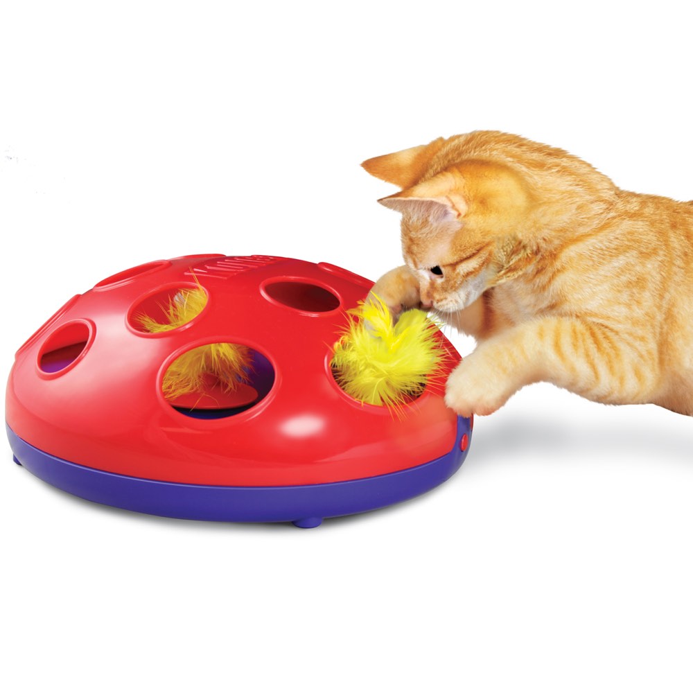 Kong Glide ??N Seek Interactive Cat Toy