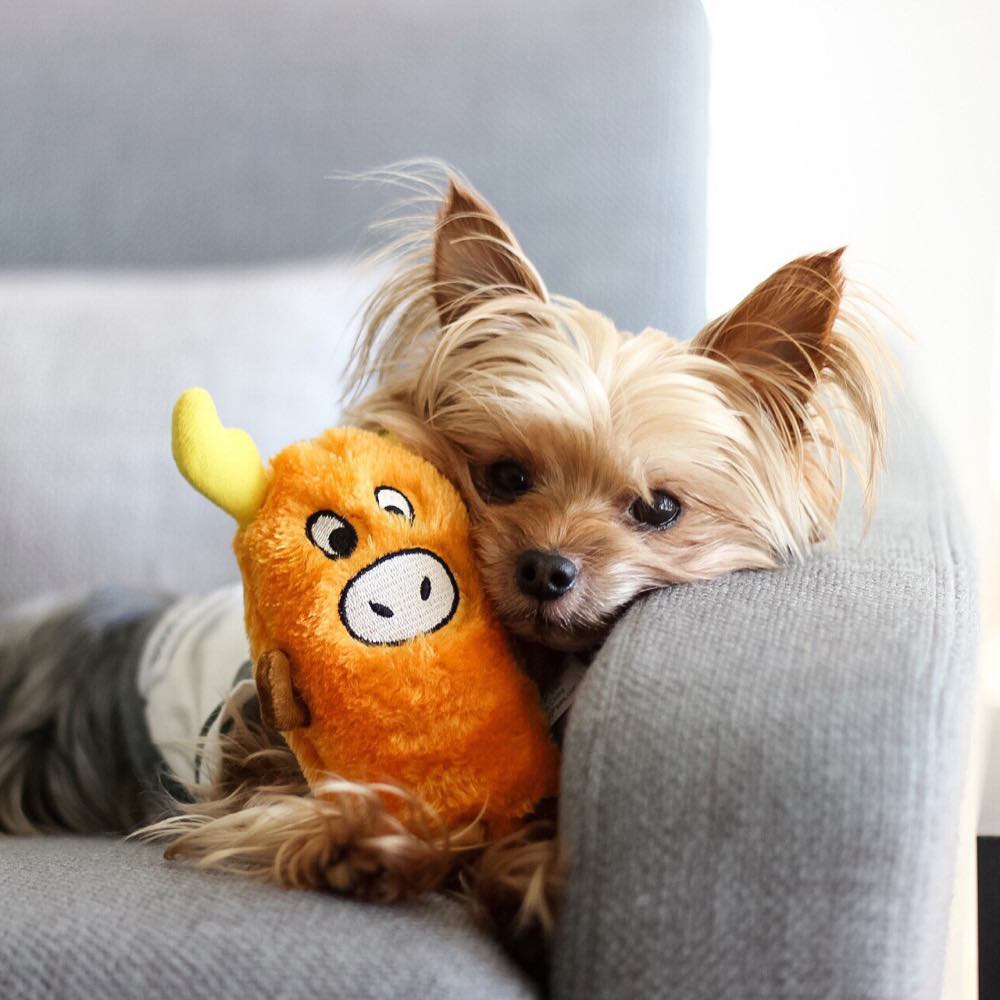 ZippyPaws Squeakie Buddie Moose Dog Toy