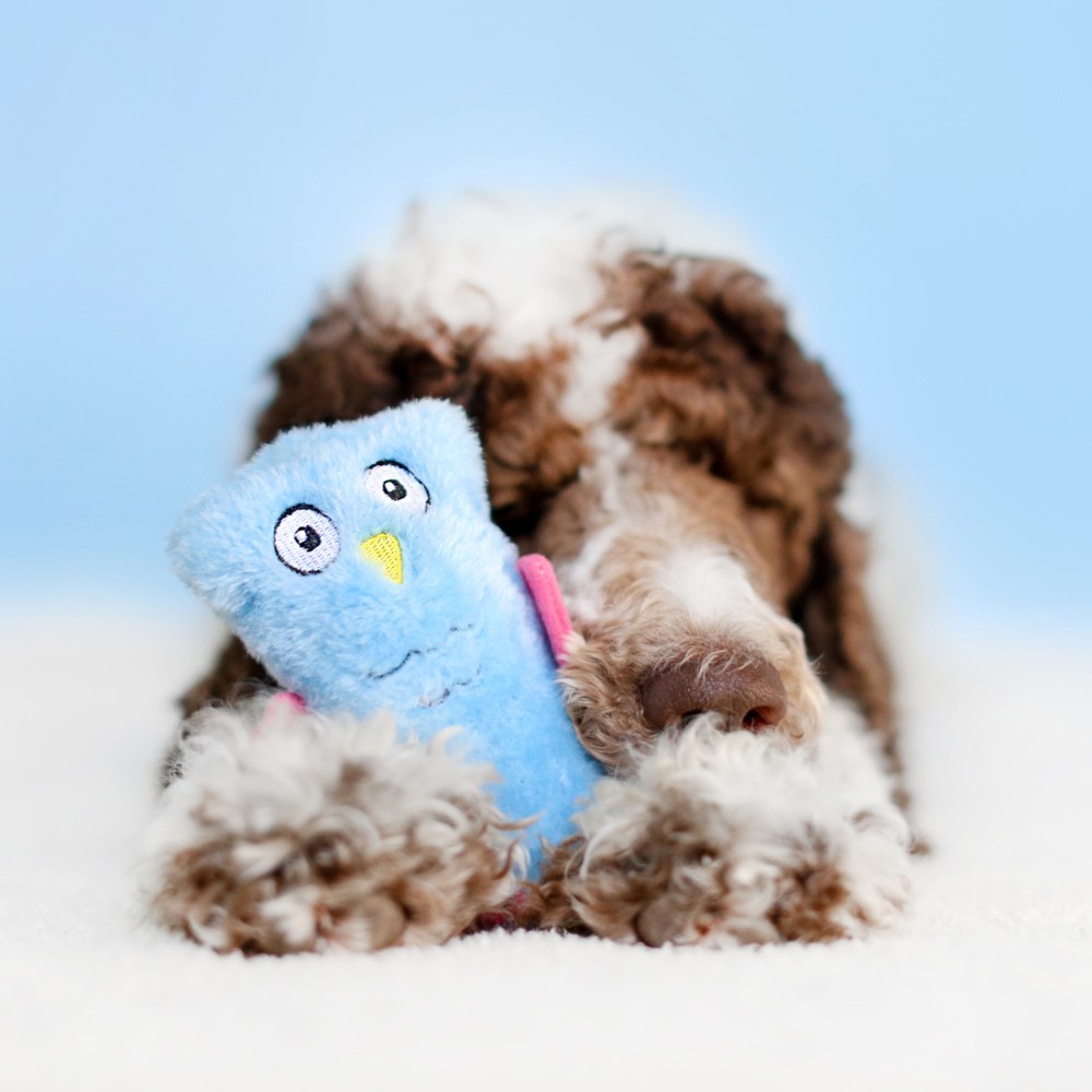 ZippyPaws Squeakie Buddie Owl Dog Toy