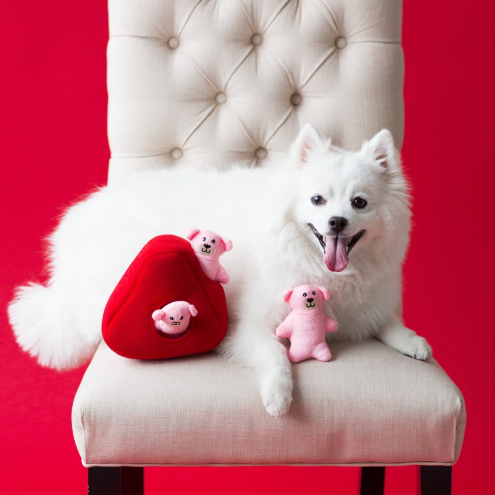 ZippyPaws Valentine's Burrow Heart N' Bears Dog Toy