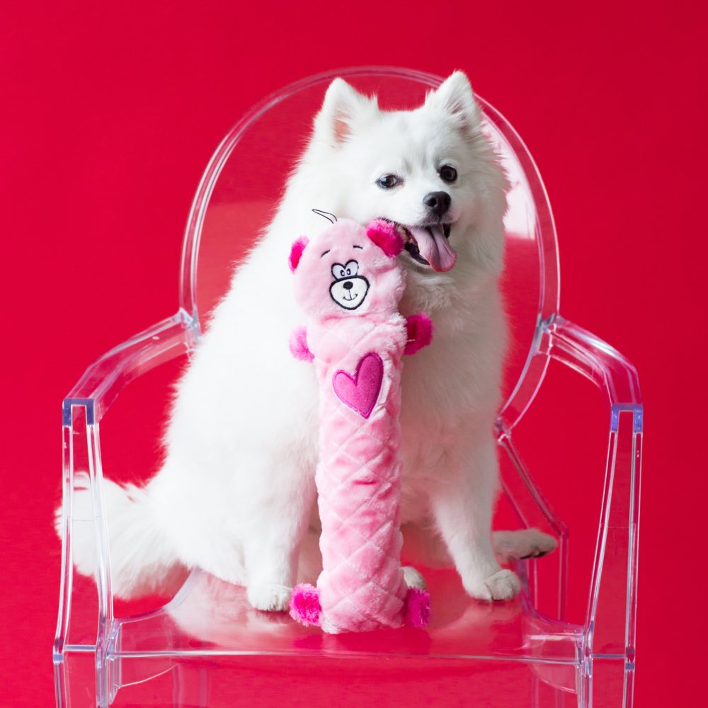 ZippyPaws Valentine's Jigglerz Pink Bear Dog Toy